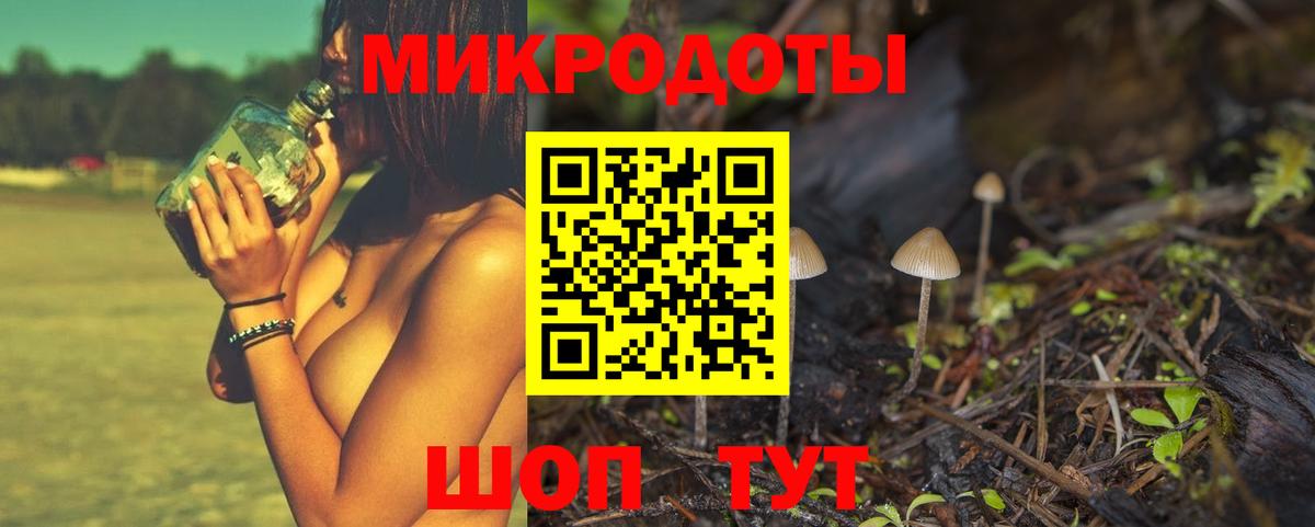 Галлюциногенные грибы GOLDEN TEACHER  Вход с VPN  купить закладку  Псилоцибиновые грибы GOLDEN TEACHER  Дятьково 